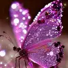 Andre Yuliza Quijada lopez - @andre.yuliza.quij - TikTok