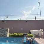 Andre Quintero - Facebook