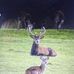 Andre Rabier - Facebook