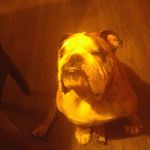 Andre Racicot - @andre.racicot1 - Instagram
