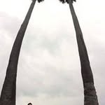 André Rathammer - @andrerathammer - Instagram