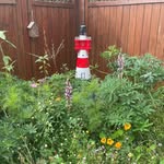 Andre Rathmann - @andrerathmann - Instagram