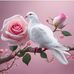 Andre Raya - Facebook