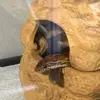 andresraynor - @andres.raynor - TikTok