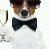 Andre Real - @andrereal - TikTok