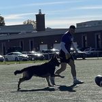 Marc-André Reeves - @marcandrereeves - Instagram
