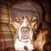 Andre Regimbald - Facebook