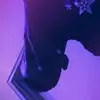 Andre Rex - @ansrerex - TikTok