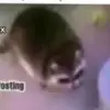 user4840139551566 - @andrerex8 - TikTok