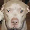 Andrea Rutherford - @andrea.rutherford - TikTok
