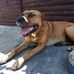 Andre Sampson - Facebook