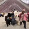 Andre Sampson Bent - @andre.sampson.ben - TikTok