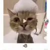 Andre Sanabria313 - @andresanabria7 - TikTok