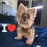 Andre Sarafians - @captainwash00 - Instagram
