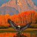 Andre Sauer - Facebook