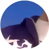 ?Alexandre Savard - @alexandre_savard - TikTok