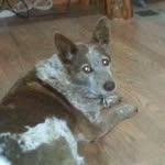 Andrew Scales - @andrew.scales.37 - Instagram