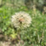 Andrew Schenkel - @andrewschenkelvisuals - Instagram
