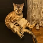 andre scherer - @andrescherer123 - Instagram