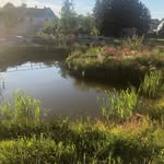 Andre Schneider - @andreschneider2019 - Instagram