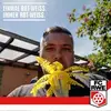 Andre Schuster - @andreschuster4 - TikTok