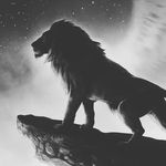 André Schwartz - @andre76483763 - Instagram