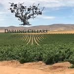 Andre Scriven - @andre_bushvine - Instagram