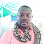 Andre Sealy - @andresealy - Instagram