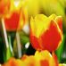 Andrea Sealy - Facebook