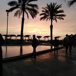 Andre Segovia - @andre_o_reilly - Instagram
