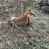 Andrew Seldon65 - @andrewseldon69 - TikTok