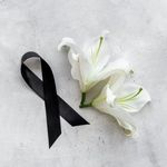 André Sepulveda - @andre_sepulvedaa - Instagram