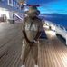 Andre Sheppard - Facebook