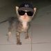 Andre Simms - Facebook