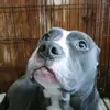 yughh u fjghjuthtjjfjfjfjfjjfj - @andresoriano91 - TikTok