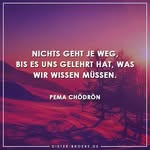 André Thiele - @thiele993 - Instagram