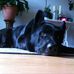 Andre Vallieres - Facebook