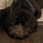 Andre Vinson - @darkvoid463 - Instagram