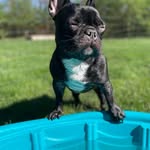 Andrew Vinson - @andrewvinson71 - Instagram