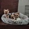 andrewvinson573 - @andrewvinson573 - TikTok
