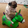 andreu_vu - @andreu_vu - TikTok
