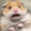 Andrew Vu - @andrewvu169 - TikTok