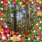 Andre Wagner - @andre.wagner.9085 - Instagram