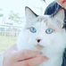 Andre Wang - Facebook