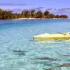 Andre Watkins - @andre.watkins7 - TikTok