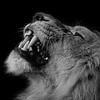 Andre Wayne Hunt - @andre.wayne.hunt - TikTok