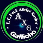 🏫 André Xavier  Gallicho Prof. - @ee.gallicho.prof - Instagram