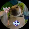 Andre Xavier - @andre.xavier49 - TikTok