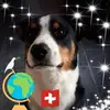 Andre Zimmer - @andre.zimmer0 - TikTok