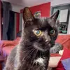 Andrea Zimmer - @andrea.zimmer2 - TikTok